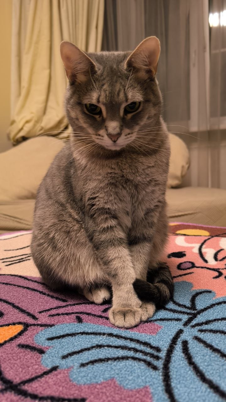 Пушинчик — округлый бочок